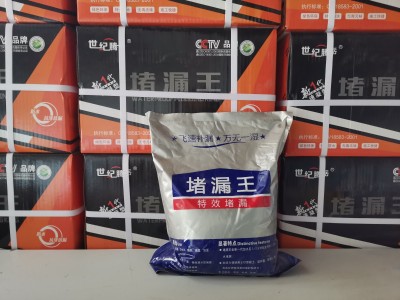 堵漏王图2
